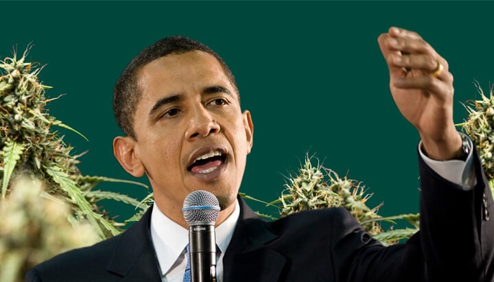 Barack Obama Un ritratto di Barack Obama che parla in un microfono con la mano alzata, su uno sfondo verde con piante di cannabis.