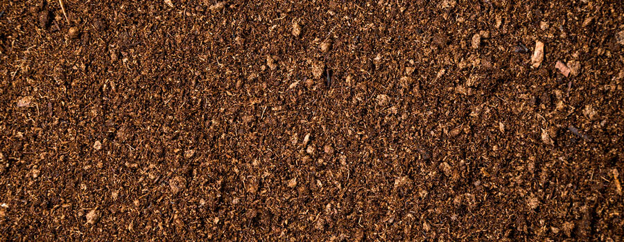 lecithin cources lecithin cources