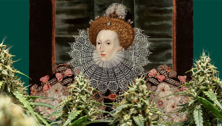 Queen Elizabeth I Un ritratto colorato della Regina Elisabetta I, centrato e incorniciato da piante di cannabis con gemme dense, su uno sfondo verde scuro.