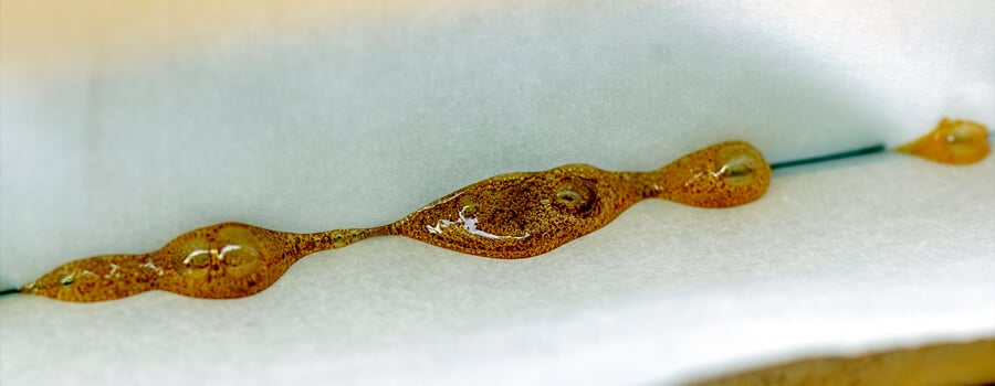 Rosin Rosin