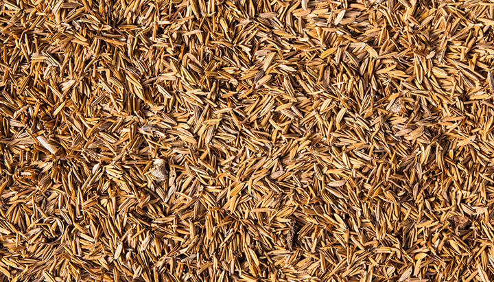 lecithin cources lecithin cources