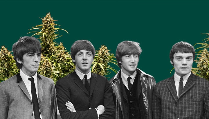 The Beatles Foto in bianco e nero dei Beatles, con tutti e quattro i membri, piante di cannabis sullo sfondo e uno sfondo verde scuro, evidenziando la scena iconica.