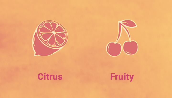 Clementine Taste Clementine Taste