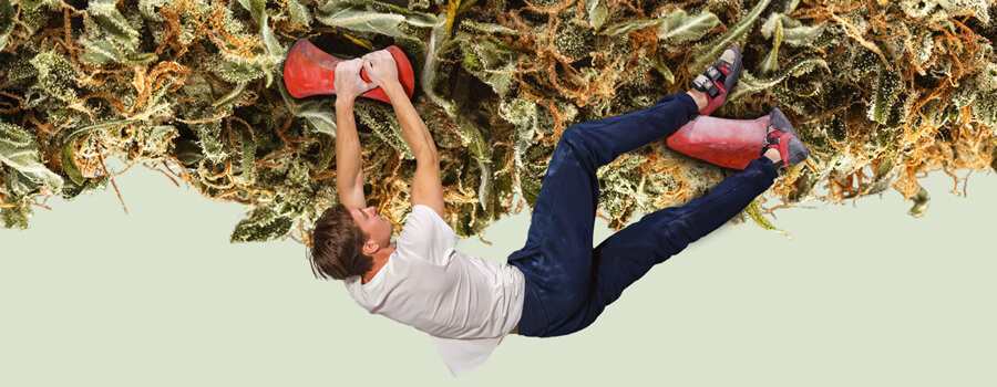 Climbing and bouldering Climbing and bouldering