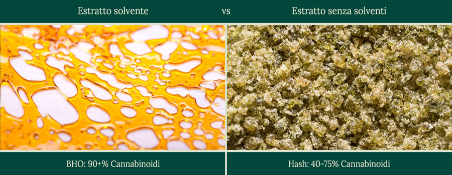 Solvent vs solventless 2 Solvent vs solventless 2