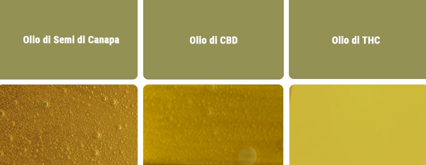 Olio di CBD vs Altri Tipi di Olio Olio di CBD vs Altri Tipi di Olio